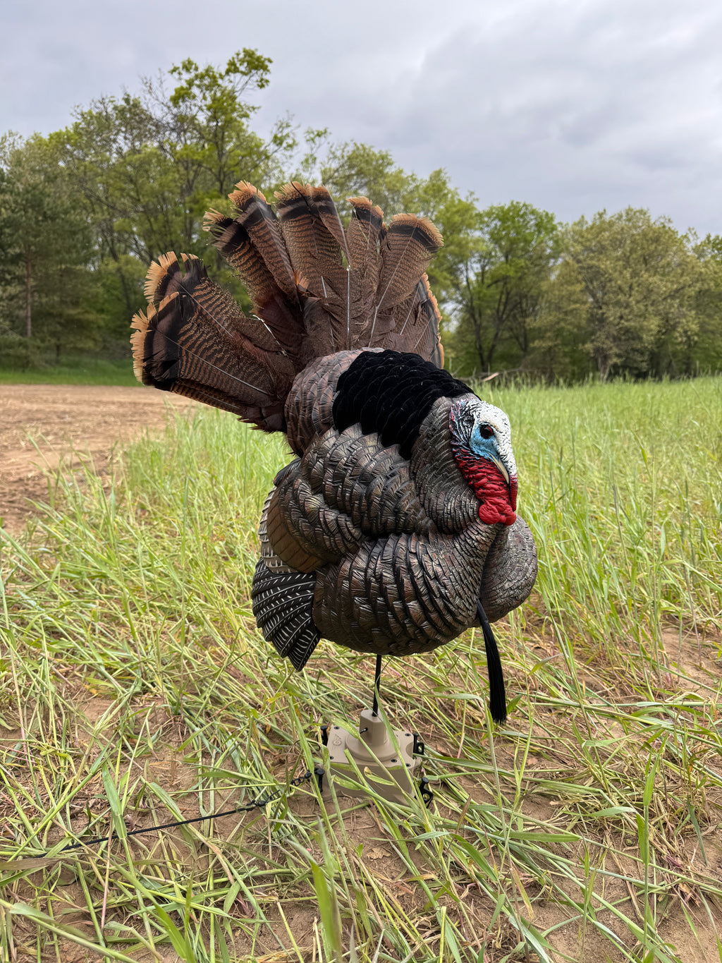 The Original Turkey Rig