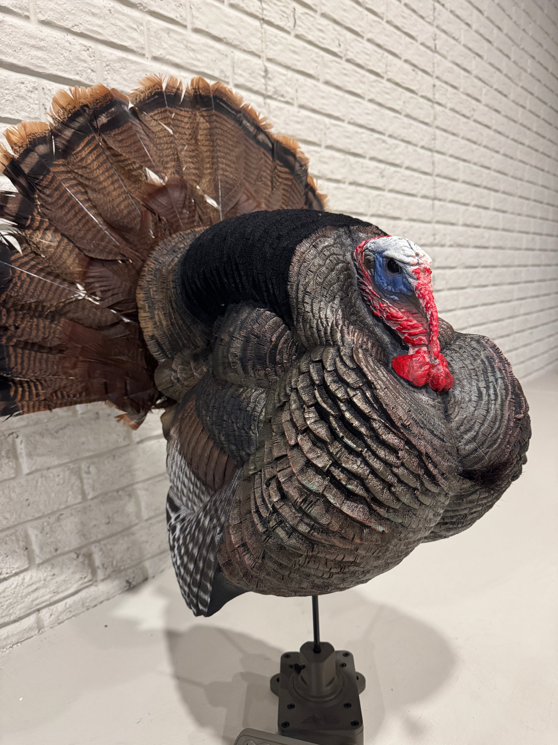 The Original Turkey Rig