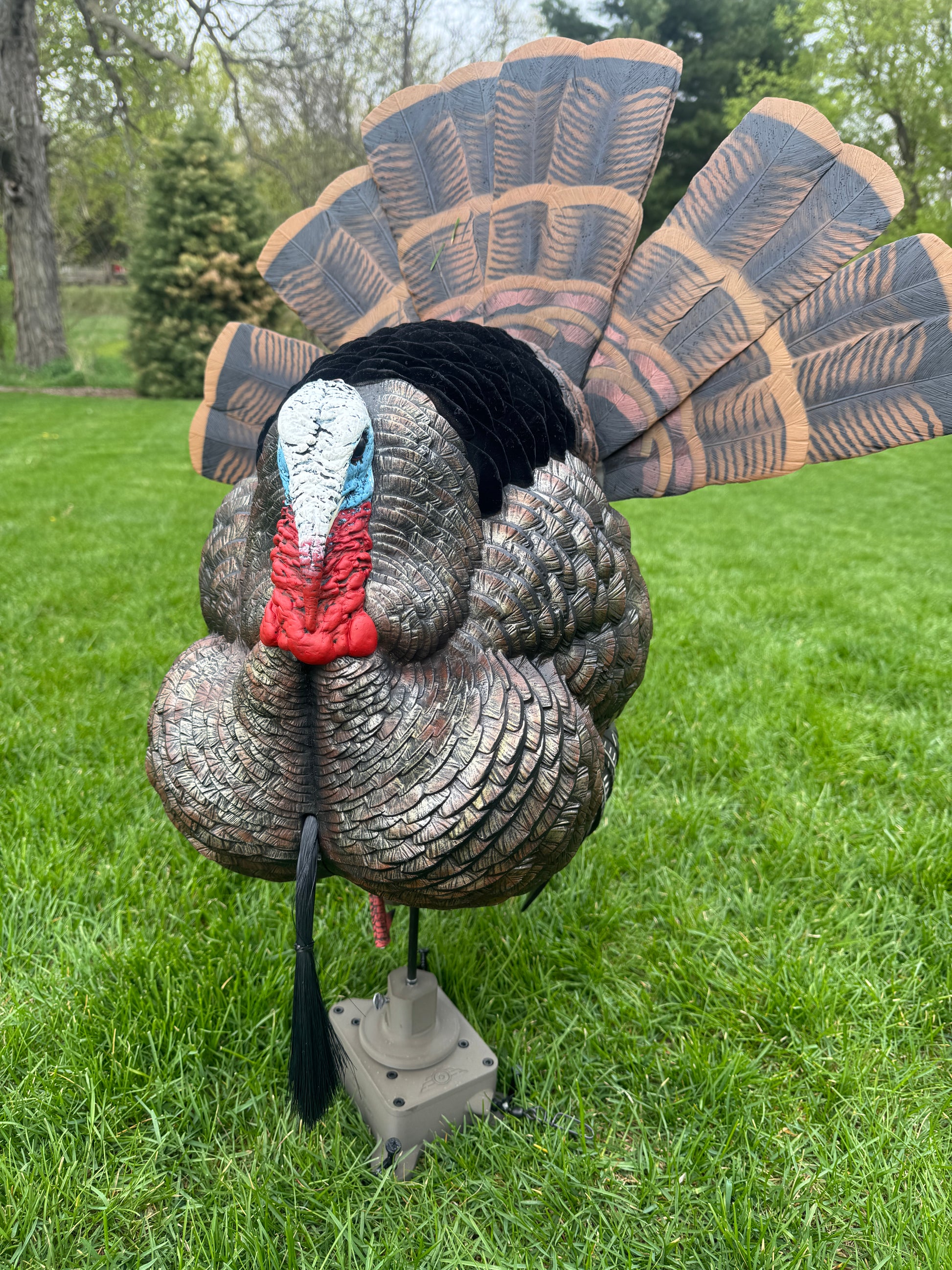 The Original Turkey Rig