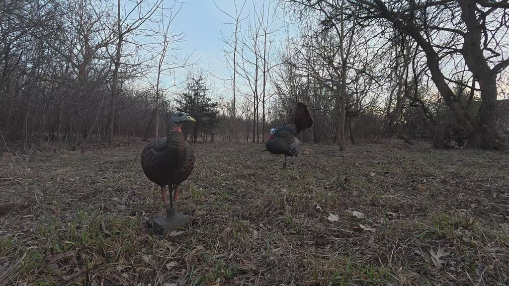 The Original Turkey Rig