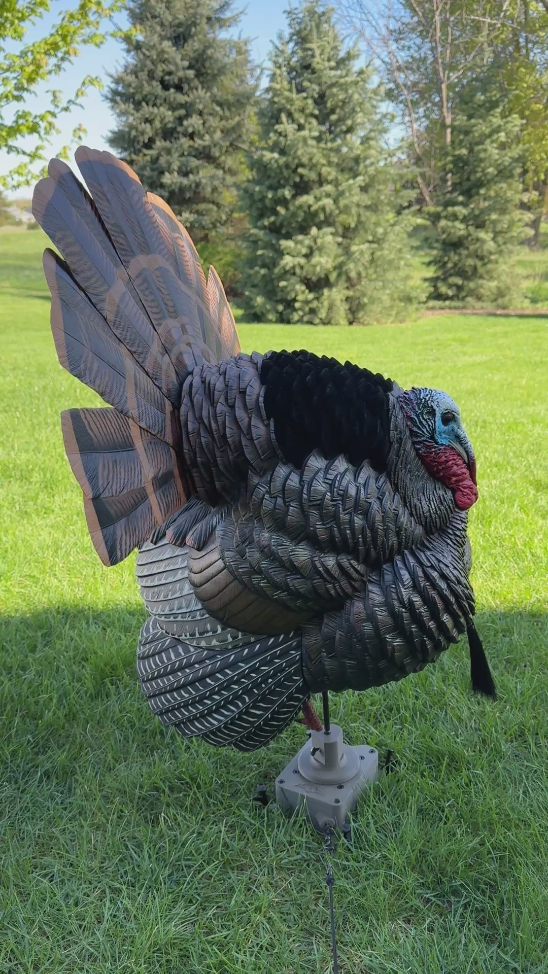 The Original Turkey Rig